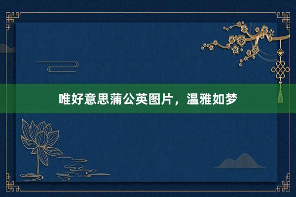 唯好意思蒲公英图片，温雅如梦