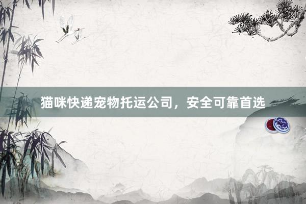 猫咪快递宠物托运公司，安全可靠首选