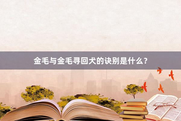 金毛与金毛寻回犬的诀别是什么?