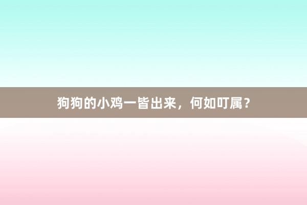 狗狗的小鸡一皆出来，何如叮属？